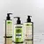 Kit Detox Shampoo + Condicionador + Leave-in Kannep Embaixador - loja online