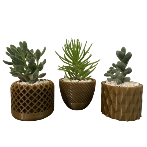 Maceta para cactus y suculenta x unidad