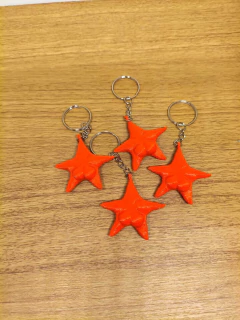 LLAVERO ESTRELLA DEL CONICET - comprar online