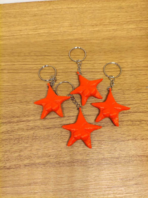 LLAVERO ESTRELLA DEL CONICET - comprar online