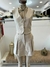 Conjunto Chaleco 3 Botones y Short Pollera _ 43136