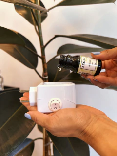 Essência Concentrada Cascas e Folhas 30ml - Aroma Max