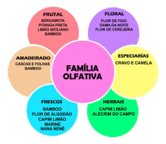 Essência Óleo Para Aromatizador - 10ml - Cravo e Canela - Aroma Max - Aroma Max