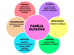 Essência 30ml Cravo e Canela na internet