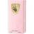 Imagem do Perfume Tibyan Al Wataniah Feminino Eau de Parfum 100ml