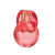 Omnia Coral Bvlgari Perfume Feminino Eau de Toilette 100ml - comprar online