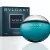 Aqva Pour Homme BVLGARI Perfume Masculino Eau de Toilette 100ml Importado - loja online