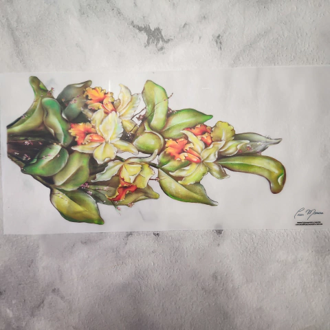 Adesivo Digital Toque Zero Orquídeas | Cod. AP06