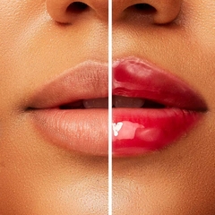 GLOSS AUMENTO VOLUME LÁBIOS FRAN BY FRANCINY EHLKE LIPCHILLI na internet