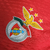 camisa-titular-home-i-benfica-adidas-jogador-23-24-vermelha-gola-v-cor-branca-vermelho-com-borda-branca-listras-douradas-emirates