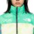 Chamarra Nuptse 1996 THE NORTH FACE x KAWS en internet