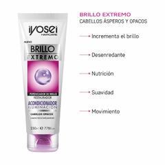 ACONDICIONADOR BRILLO EXTREMO - ILUMINACION CON CERAMIDAS - 230 ml. en internet