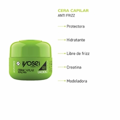 CERA CAPILAR ANTI - FRIZZ - 50 grs. - comprar online
