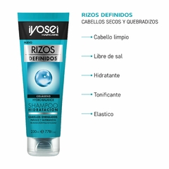 SHAMPOO RIZOS DEFINIDOS - HIDRATACION CON COLÁGENO - 230 ml. - comprar online