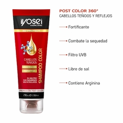 SHAMPOO COLOR CON ARGININA - 230 ml. - comprar online