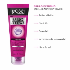 SHAMPOO BRILLO EXTREMO - CERAMIDAS - 230 ml. en internet