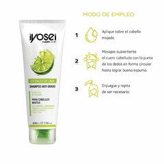 SHAMPOO PURIFICANTE CON EXTRACTO DE LIMA - 230 ml. en internet
