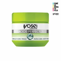 MASCARA DE TRATAMIENTO THERMICO ANTI - FRIZZ - CON CREATINA - 315 grs.