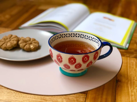 Set x4 Individuales Redondos Rosa