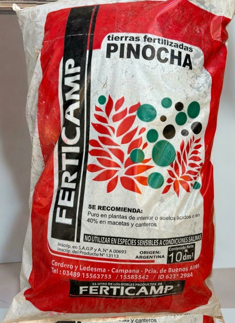 Pinocha