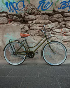 Bicicleta Vintage Urbana Cactus MyBikeMx
