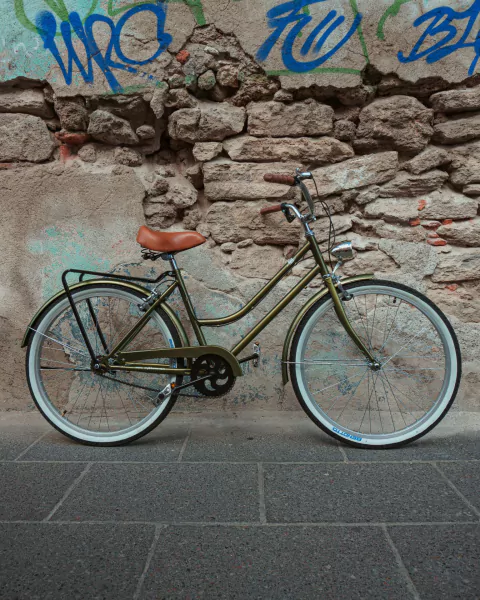 Bicicleta Vintage Urbana Cactus MyBikeMx