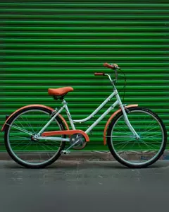 Bicicleta Clásica San Miguel de Allende en internet