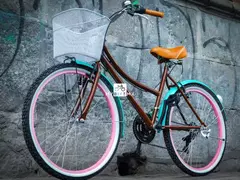 Bicicleta Urbana Increíbles Diseños - tienda en línea
