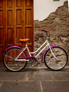 Bicicleta Vintage Urbana Bugambilia Mecánica MyBikeMx en internet