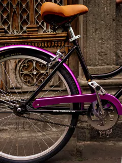 Bicicleta Vintage Urbana Frida MyBikeMx en internet