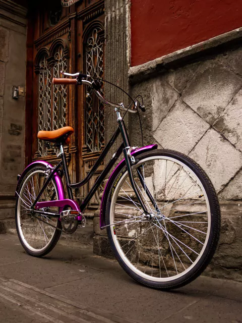 Bicicleta Vintage Urbana Frida MyBikeMx