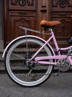 Bicicleta Eléctrica Champaña en Casa