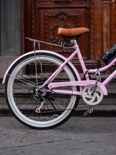 Bicicleta Eléctrica Champaña en Casa en internet