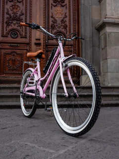 Bicicleta Eléctrica Champaña en Casa - tienda en línea