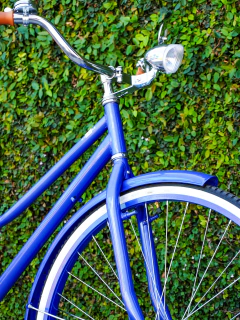 Azul Profundo Urbana Clásica - tienda en línea