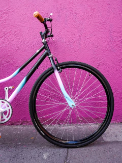 Jaguar Salvaje Bicicleta Clásica Urbana - comprar en línea