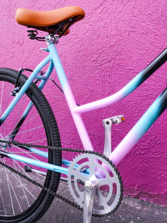 Jaguar Salvaje Bicicleta Clásica Urbana en internet