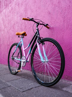 Imagen de Jaguar Salvaje Bicicleta Clásica Urbana
