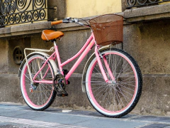 Pink Bahía Personalizada con tu Nombre y Accesorios - MyBikeMx