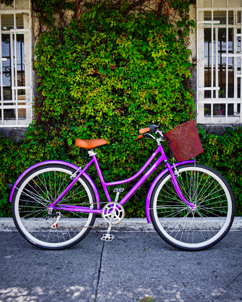 Bicicleta Vintage Urbana Modelo Salvia Con Velocidades Canastilla MyBikeMx