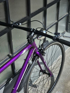 Imagen de Bicicleta Urbana Ultraligera Uva Mecanica