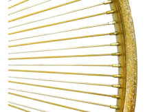 Rines Para Bicicleta De 144 Rayos Mybikemx Rodadas Varias Color Dorado en internet