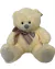 Urso Pelucia 30cm na internet