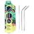 Kit Canudo BeeGreen Inox C/2un