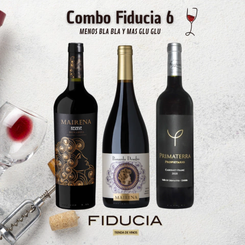 Combo 6 - Selección Somm - comprar online
