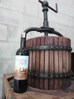 Sierra y Monte Malbec - Fiducia Tienda de Vinos