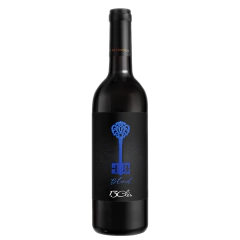 13 Cles Joven Blend Malbec - Bonarda - comprar online