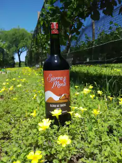 Sierra y Monte Blend de Tintas en internet