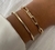 PULSEIRA CAROLA na internet