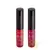 Batom Vult Aquatint Gel Red 5,5ml